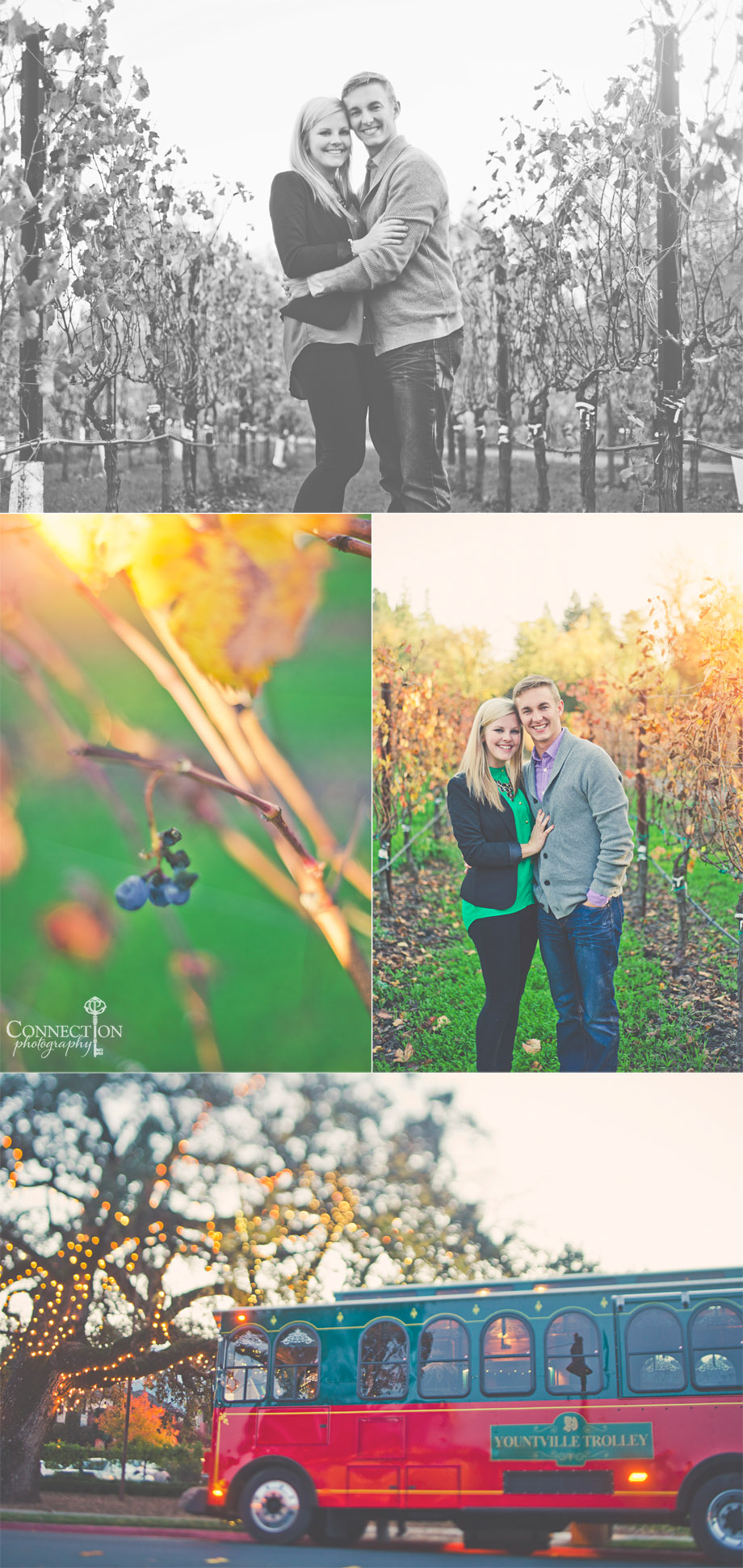 ‘-Our Napa Valley Proposal-