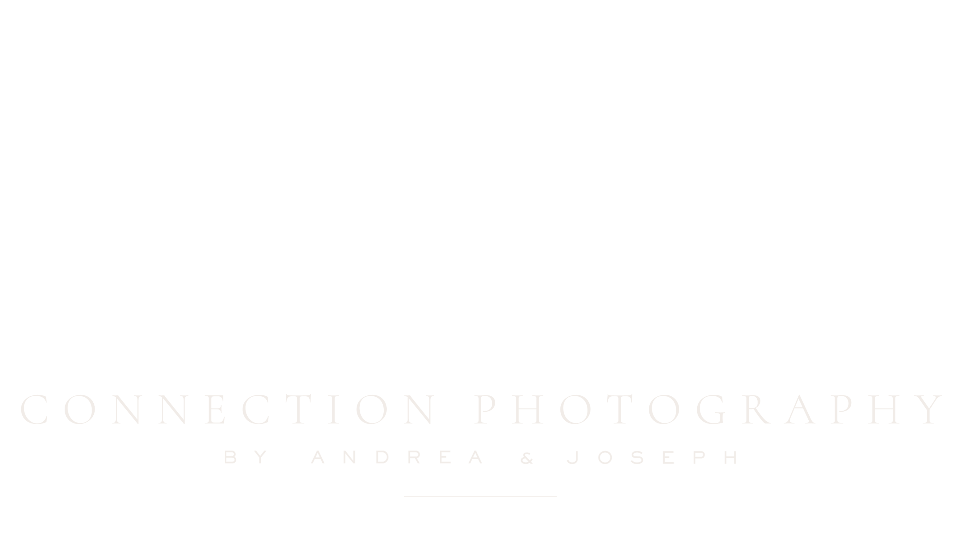 Connection Photography Fern Logo copy